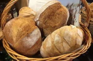 Pane