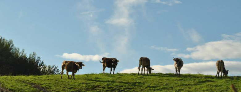 Agricoltura SOS